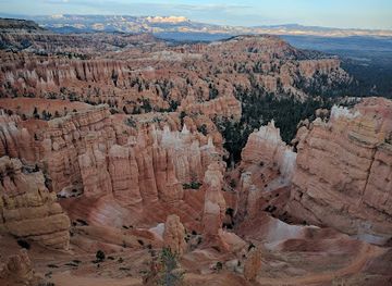 Bryce Wildlife Adventure