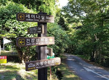 south-korea/jeju-city/jungmun/attraction/seogwipo-natural-recreational-forest