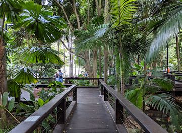 australia/brisbane/attraction/rainforest-walk
