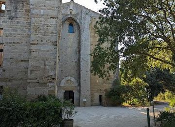 france/montpellier/attraction/cathedrale-de-maguelone