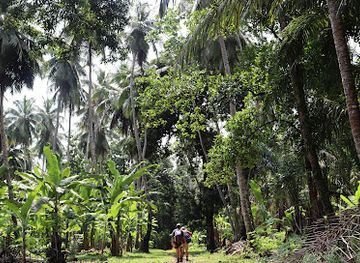 sao-tome-and-principe/praia-piscina/attraction/botanic-culture