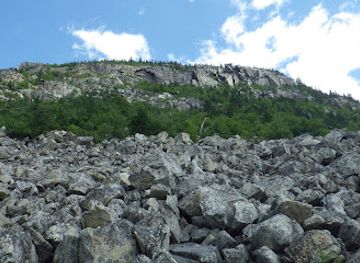 new-hampshire/white-mountains-national-forest/attraction/zealand-notch