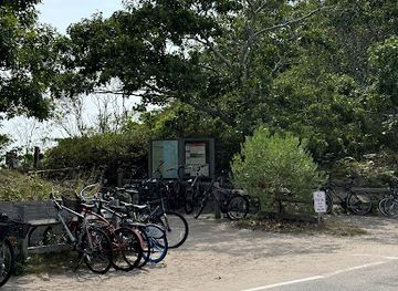 massachusetts/provincetown/attraction/boy-beach-bike-racks