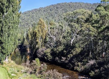 australia/mount-kosciuszko/attraction/pallaibo-walking-track