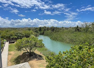 puerto-rico/camuy-river-cave-park/attraction/el-gran-parque-del-norte