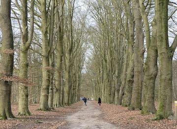 netherlands/betuwe/attraction/amerongse-bos