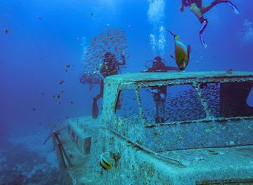 israel/eilat/coral-beach/attraction/yatush-wreck