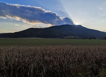 slovenia/maribor-pohorje/attraction/pustolovski-park-betnava
