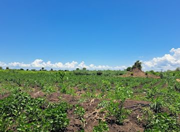 malawi/salima/attraction/talima-farm