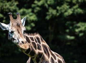 united-kingdom/norwich/attraction/banham-zoo