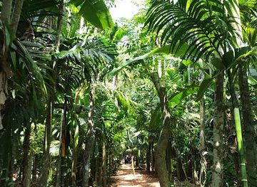 india/goa/attraction/tropical-spice-plantation