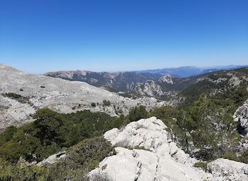 spain/cazorla-natural-park/attraction/pino-de-la-entrega