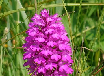 jersey/saint-ouen/attraction/saint-ouen-s-pond