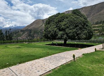 peru/huascaran-national-park/attraction/el-arbol-de-la-quina