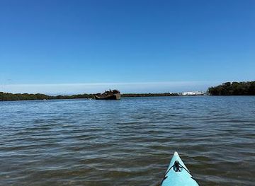 australia/adelaide/attraction/dolphin-sanctuary-kayak-tours