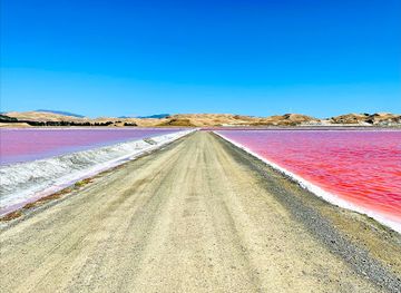 new-zealand/marlborough/attraction/saltworks