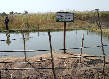 zambia/chipata/attraction/musaope-akumbuseni-gardens