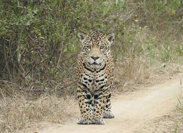 bolivia/santa-cruz-de-la-sierra/attraction/nick-s-adventures-bolivia