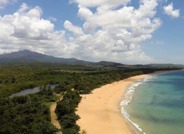 puerto-rico/luquillo/attraction/corredor-ecologico-del-noreste