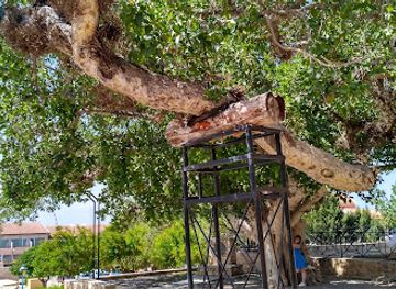 cyprus/protaras/attraction/thalassa