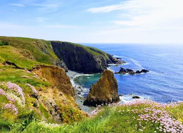 ireland/county-waterford/attraction/copper-coast-drive-view-point