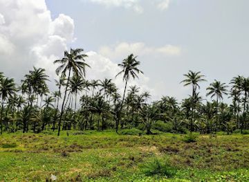 india/goa/attraction/cansaulim-beach