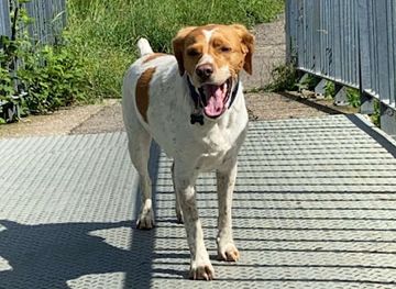 france/lorraine/attraction/ecluse-n-22-de-dombasle-sur-meurthe