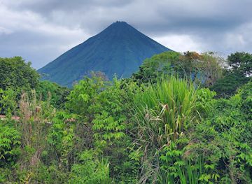 costa-rica/la-fortuna-waterfall/attraction/wood-art-gallery