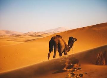morocco/marrakech/attraction/morocco-sahara-adventures