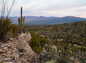 arizona/saguaro-national-park/attraction/riparian-overlook
