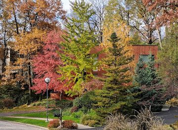 michigan/ann-arbor/attraction/narrow-gauge-way-park