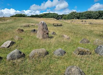 denmark/the-north-sea-islands/attraction/vikingemuseet-lindholm-hoje