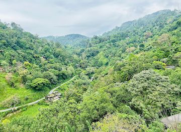 sri-lanka/ella/attraction/ella-view