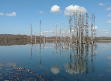 tennessee/mississippi-delta/attraction/hatchie-national-wildlife-refuge