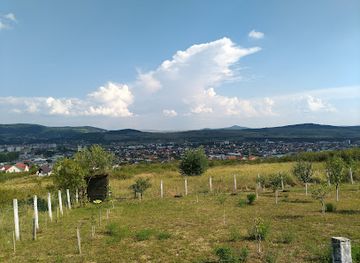 romania/bistrita-nasaud/attraction/schullerwald