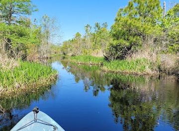north-carolina/inner-banks/attraction/outer-banks-kayak-adventures
