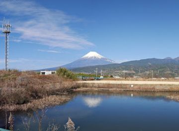 japan/izu/attraction/ukishimagahara-natural-park