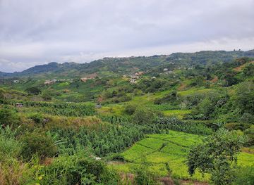 jamaica/cornwall-county/attraction/four-corners-of-jamaica-trelawny-st-ann-clarendon-manchester