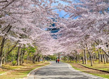 japan/sapporo/maruyama-park/attraction/nakajima-park