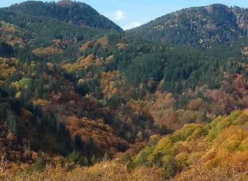 greece/east-macedonia-and-thrace/attraction/dasos-fraktou