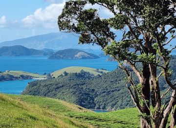 new-zealand/waikato/attraction/windy-point