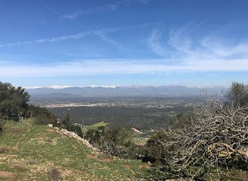 spain/mallorca/attraction/estatua-de-ramon-llull