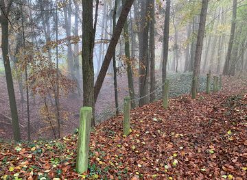 france/lorraine/attraction/les-entonnoirs-de-flirey