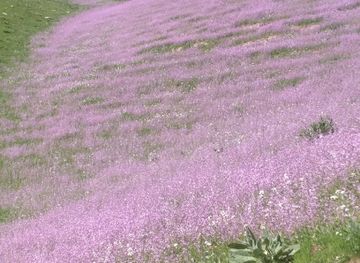 uzbekistan/surkhandarya-region/attraction/qo-tirbuloq