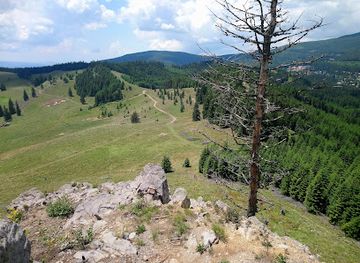 romania/harghita/attraction/kossuth-s-rock