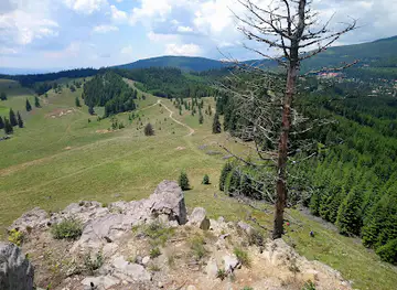 Kossuth's rock