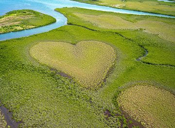 new-caledonia/south-province/attraction/heart-of-voh