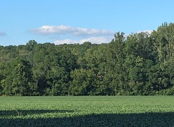 ohio/southwest-ohio/attraction/davey-woods-state-nature-preserve