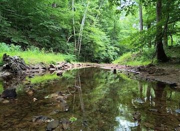 south-carolina/charleston/attraction/kanawha-state-forest