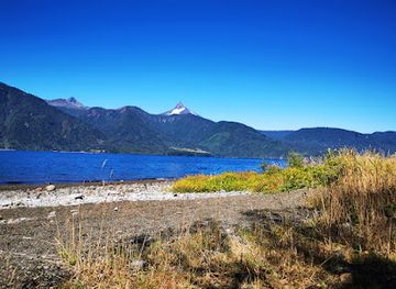 chile/patagonia/attraction/parque-nacional-puyehue